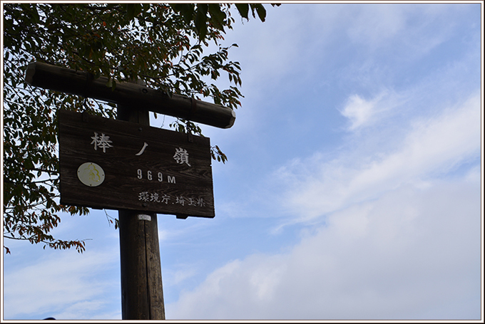 1011-1.jpg