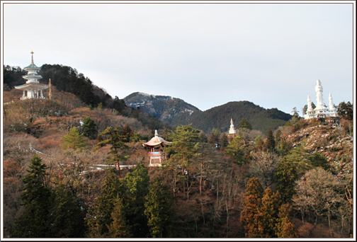 12122-5.jpg