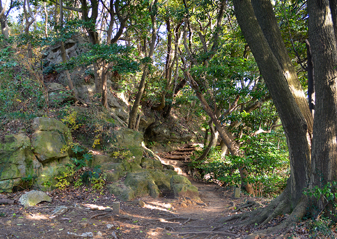 20141228-4.jpg