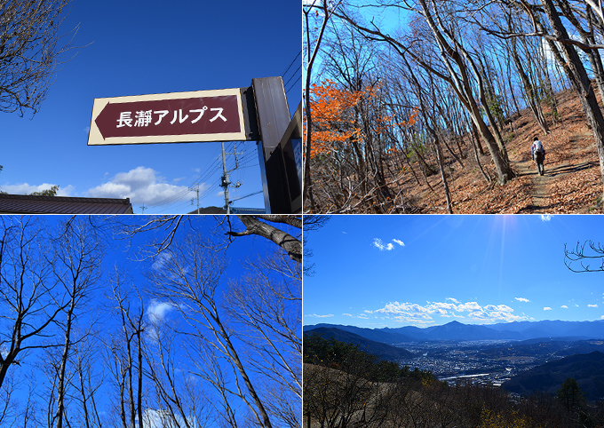 2015110-1.jpg