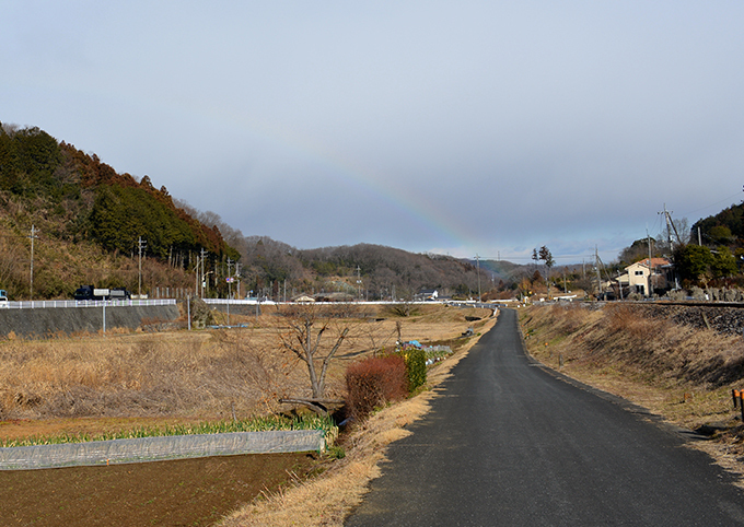 2015117-2.jpg