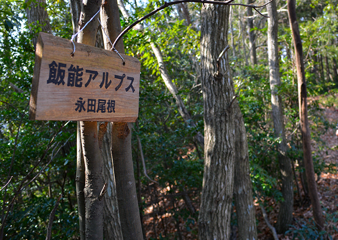 2015131-5.jpg