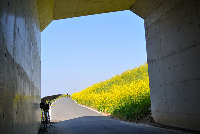 401-4.jpg