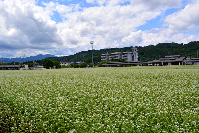 606-5.jpg